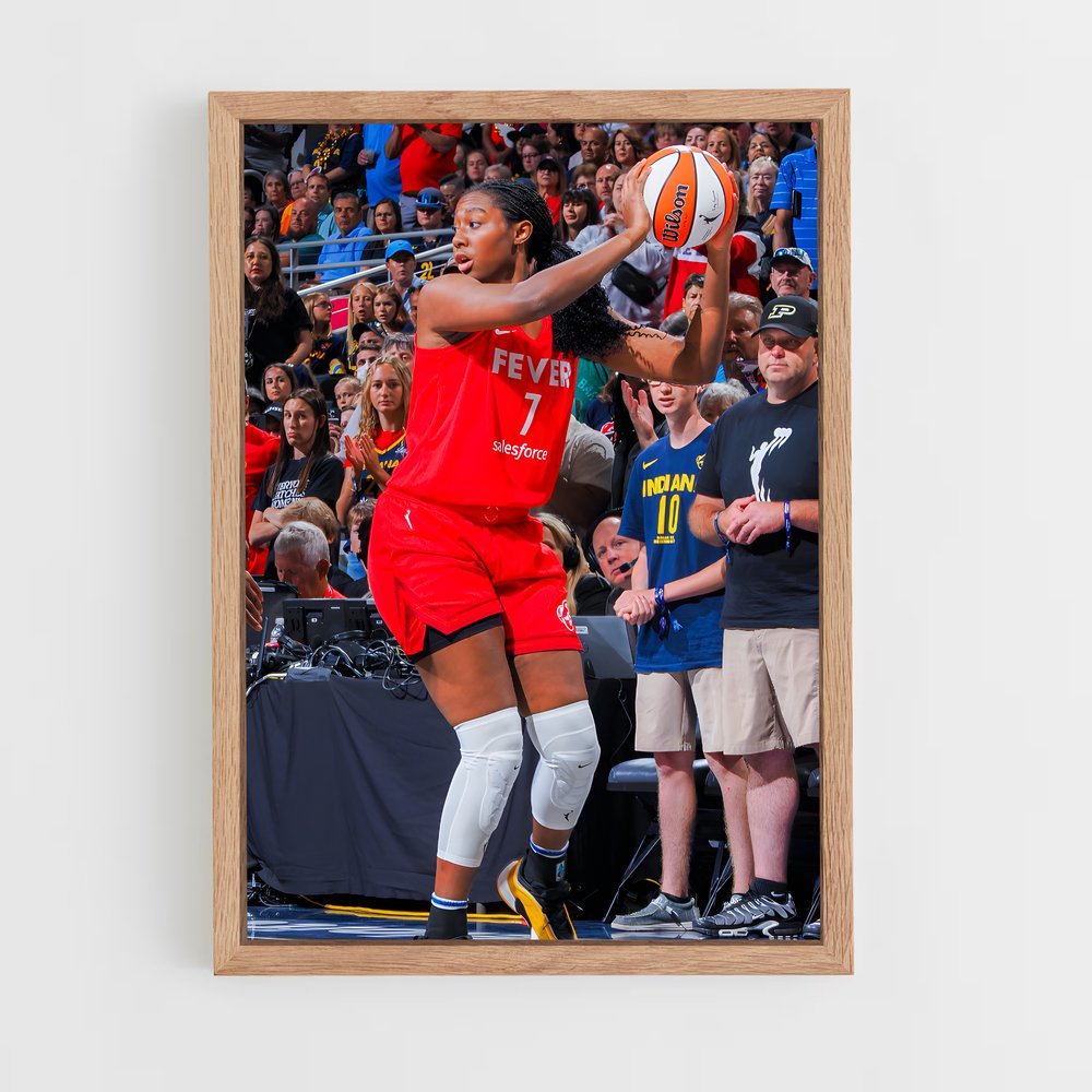 Poster Basketball Fever (vue 4)